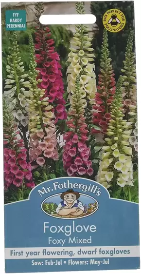 Foxglove Foxy Mixed - image 1