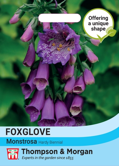 Foxglove Monstrosa - image 1