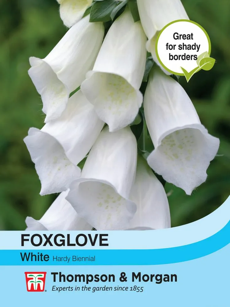 Foxglove White - Cowell's Garden Centre | Woolsington