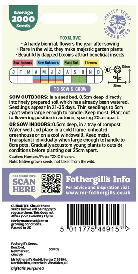 Foxglove Wildflower - image 2