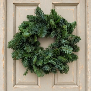 Classic Plain Foliage Wreath - 10" - image 1