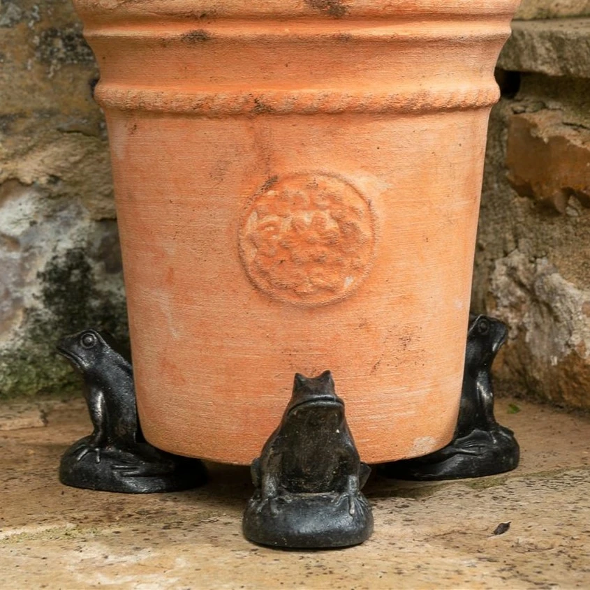 Frog Pot Feet Cowell's Garden Centre Woolsington
