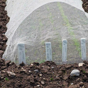 Frostban Horticultural Fleece