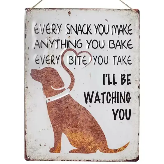 Garden Sign I'll Be Watching You - image 1