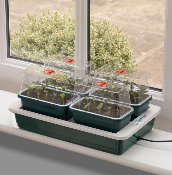 Garland Fab 4 Electric Propagator