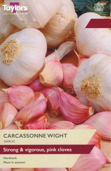 Garlic Carcasonne Wight