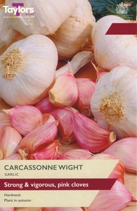 Garlic Carcasonne Wight