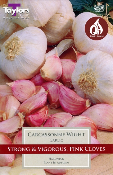 Garlic Carcasonne Wight