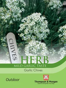 Garlic Chives - image 1