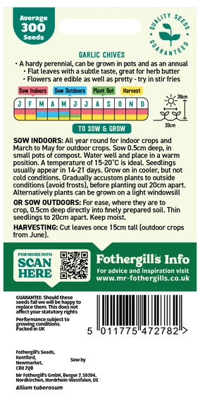 Garlic Chives Seeds - image 2