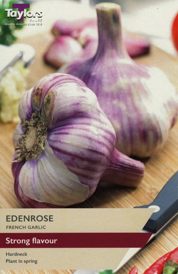 Garlic Eden Rose