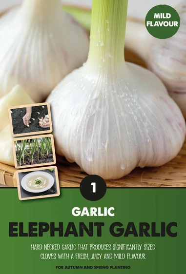 Garlic Elephant