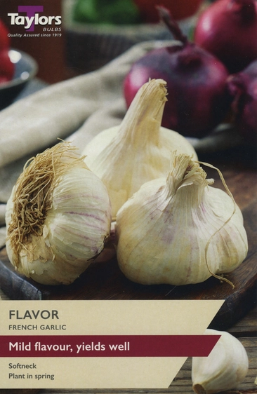 Garlic Flavor