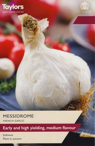 Garlic Messidrome