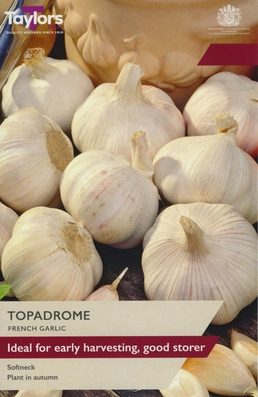 Garlic Topadrome