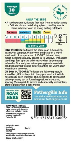 Gaura The Bride Seeds - image 2