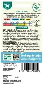 Gaura The Bride Seeds - image 2