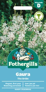 Gaura The Bride Seeds - image 1