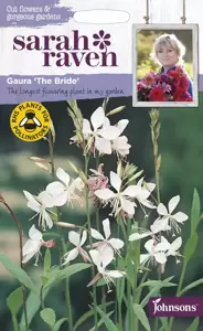 Gaura The Bride - image 1