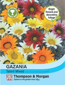 Gazania Talent Mixed - image 1