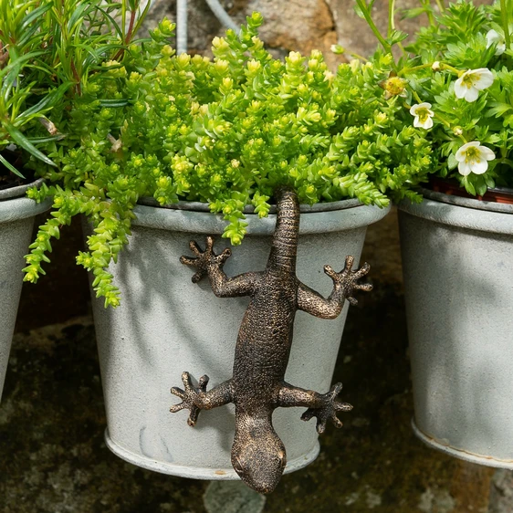 Gecko Pot Buddy - image 3