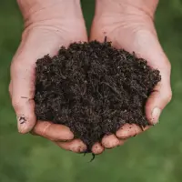 General Compost