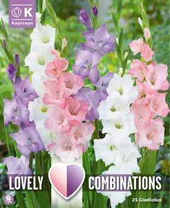 Gladioli Pastel Mix