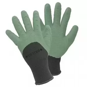 Gloves - All Seasons - Medium - image 1