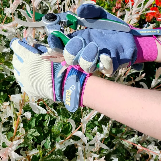 Gloves - ClipGlove Ladies General Purpose - Small - image 1
