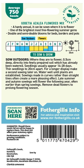 Godetia Azalea Flowered Mixed Seeds - image 2