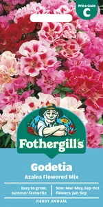 Godetia Azalea Flowered Mixed Seeds - image 1