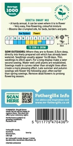 Godetia Dwarf Mixed - image 2