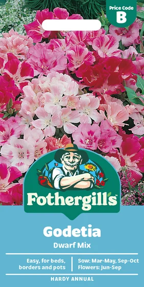 Godetia Dwarf Mixed - image 1