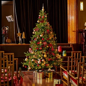 Grandis Fir Pre-Lit Artificial Christmas Tree 7ft - image 2