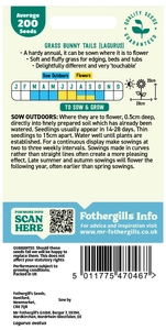 Grass Bunny Tails - Lagurus ovatus Seeds - image 2