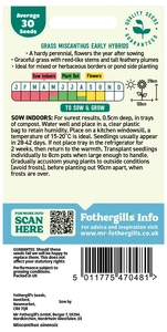 Grass Silver Grass - Miscanthus Sinensis Early Hybrids - image 2