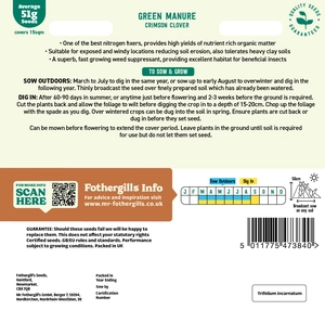 Green Manure Crimson Clover - image 2