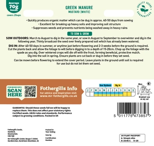 Green Manure Mustard (White) - image 2
