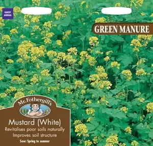 Green Manure Mustard (White) - image 1