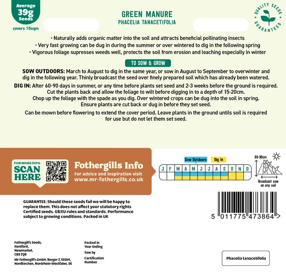 Green Manure Phacelia tanacetifolia Seeds - image 2