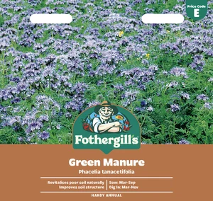 Green Manure Phacelia Tanacetifolia - image 1