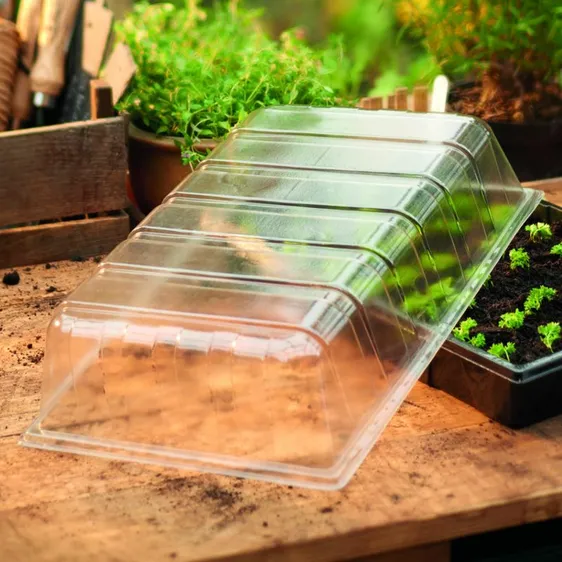 Gro-Sure Visiroot Seed Tray Lid