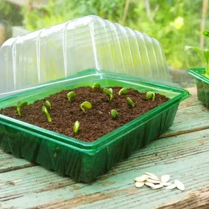 Gro-Sure Visiroot Seed Tray Pack