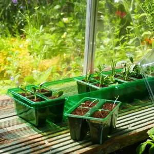 Gro-Sure Visiroot Windowsill Propagator Set - image 2