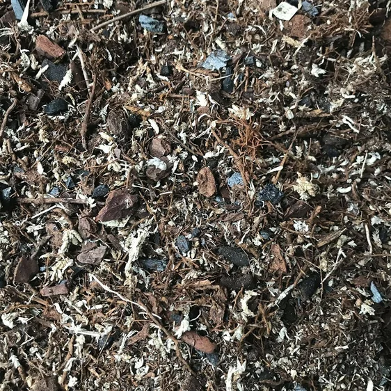 GrowTropicals Terrarium Mix 8L