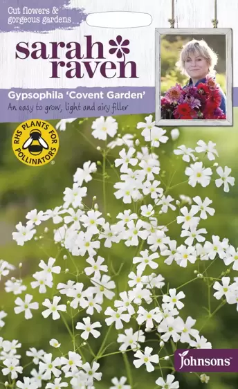 Gypsophila Covent Garden - image 1