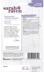 Gypsophila Covent Garden - image 2