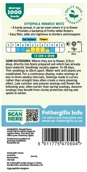 Gypsophila Monarch White Seeds - image 2