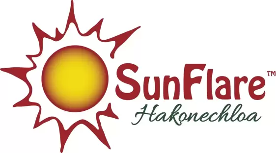 Hakonechloa macra 'Sunflare' - image 4