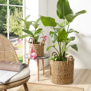 Handled Seagrass Brown Planter Ø27cm - image 2